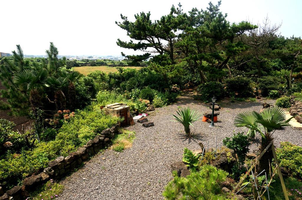 Nattrang Pension Jeju Exterior photo